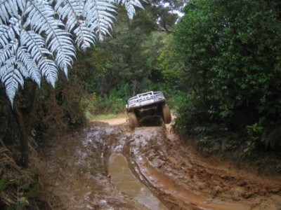 4wd 043.jpg