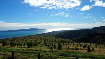 Kapiti Coast.JPG