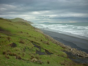 Rosehill Safari Beach (2).jpg