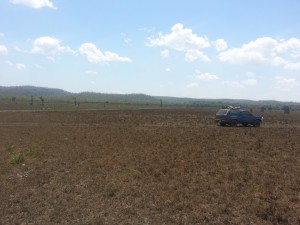 Near Rynolds Rd NT 1.jpg