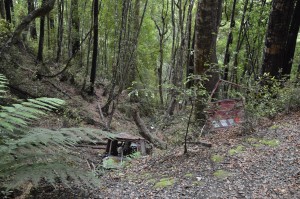 DSC_0068.JPG