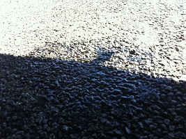 hmm thats abit of diff oil
