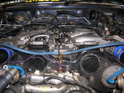 no49.JPG