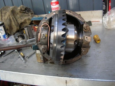 no50.JPG