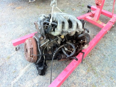 IMG_1948 (Custom).JPG