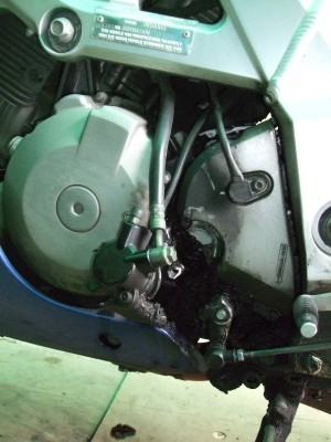 SV1000S.JPG
