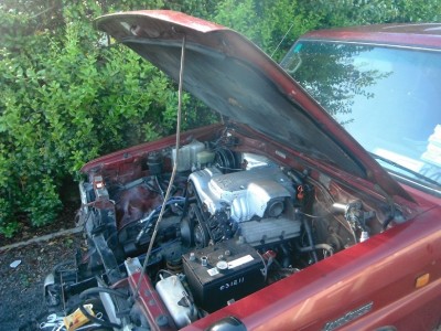 DSCF0906.jpg