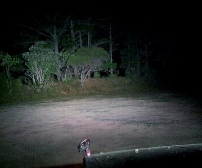 Low Beam