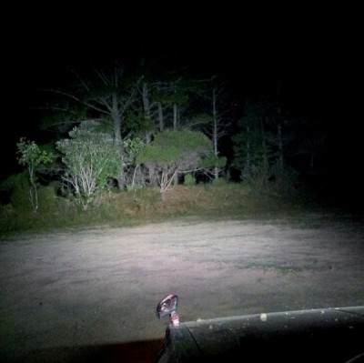Medium Beam