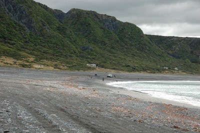 DSC_0543.JPG