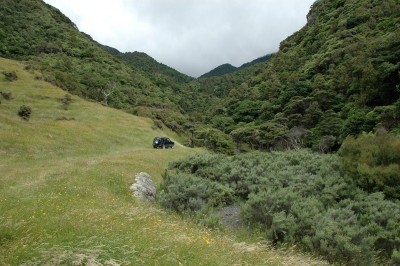 DSC_0585.JPG