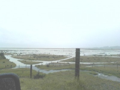 state of the river yesterday