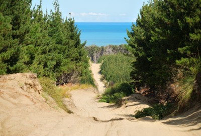 Wilson road.jpg