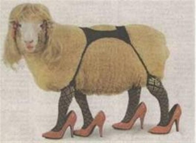 sheep2.jpg