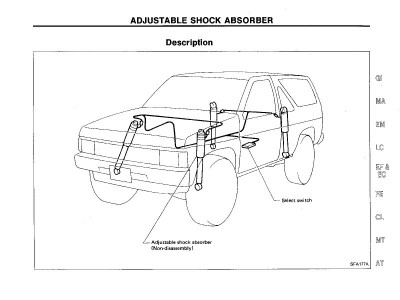 shocks.1.jpg