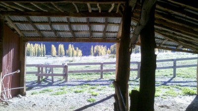 19-2013-04-26_09-30-34_210.jpg