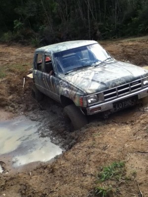 bush truck 2 (450x600).jpg