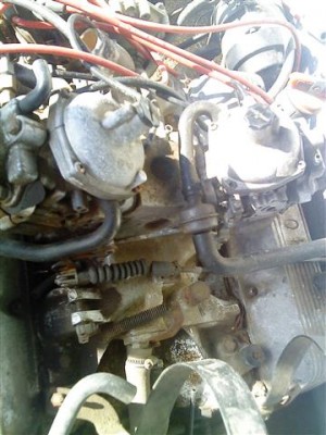 rover2.jpg