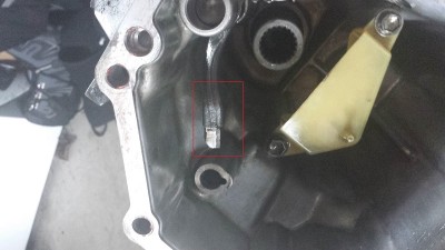 20130811_124608.jpg