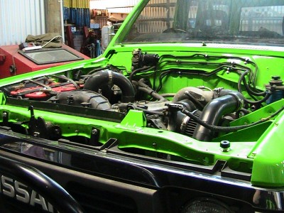 cert repair gary whit , also picks for green patrol progress , 011.JPG