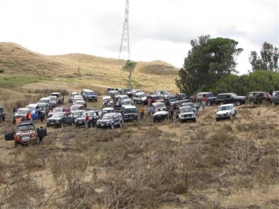 Glen Massey Safari 3 (Small).jpg