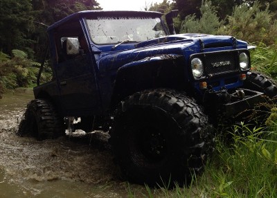 FJ40 bush2.jpg