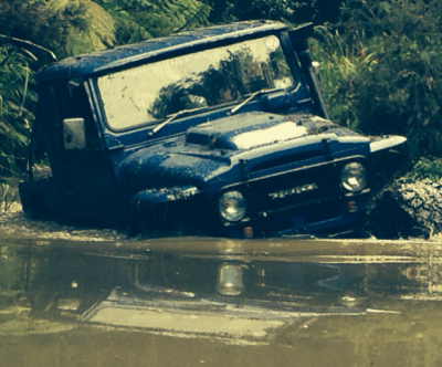 FJ40 bush3.png