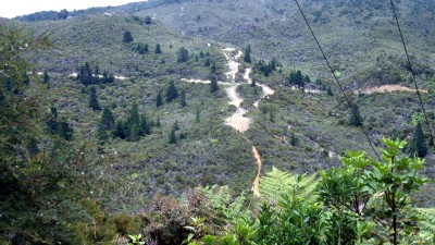 Start of the track at turn off at Elaine Bay