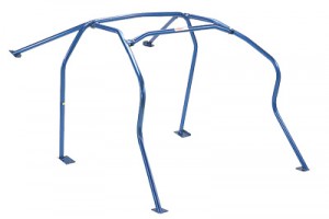 roll cage.jpg