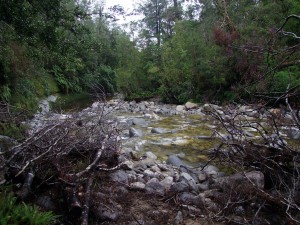 DSCF0937.JPG (286.51 KiB) Viewed 4772 times DSCF0937.JPG