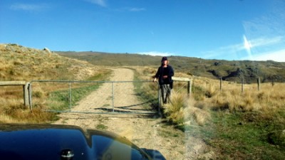 Hele on gate duty..Oldman Range