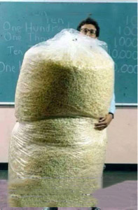 Popcorn.jpg
