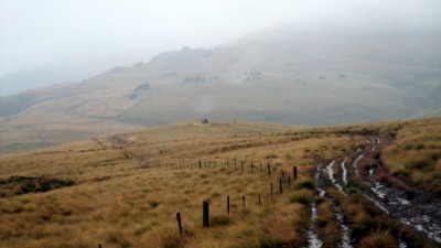 Southern Oldman Range
