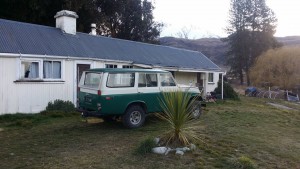 Kiwi55