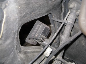 IMG_0897.JPG