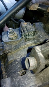 IMG_20151110_192531[1].jpg