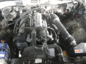 IMGA0330.JPG