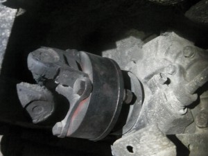 IMGA0331.JPG