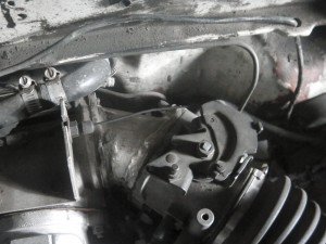 IMGA0337.JPG