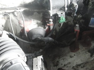 IMGA0338.JPG