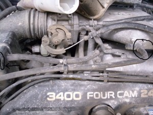 DSCN7756.JPG (163.6 KiB) Viewed 2785 times hose