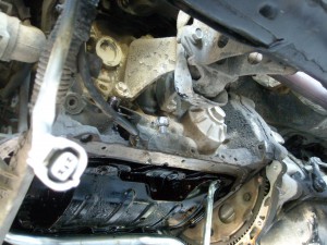 DSCN8046.JPG