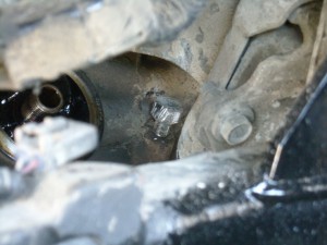 DSCN8048.JPG