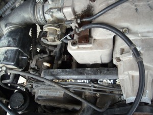DSCN8280.JPG