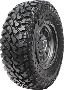 Maxxis Bighorn MT764